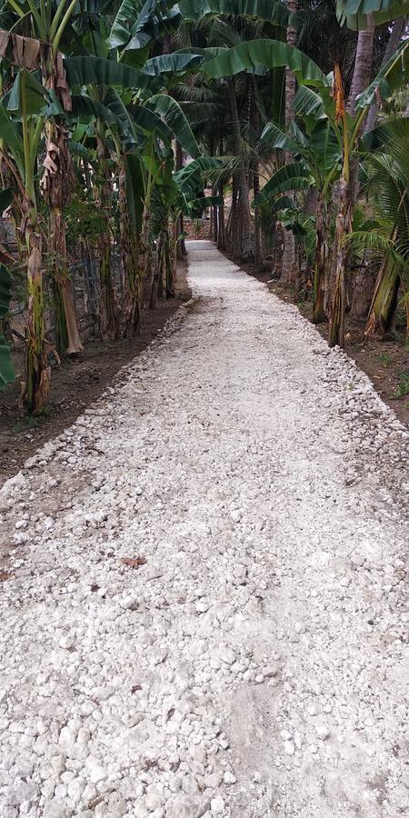 Batununggul Coconut Hill Cottage מראה חיצוני תמונה
